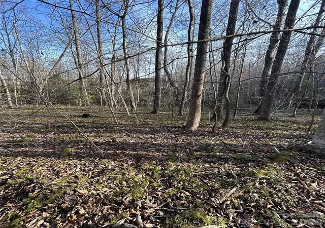 Photo 3 of Land for sale at Lot 24 Double Eagle Dr #24, Nebo, NC 28761 | MLS# 4340524 | Listing updated on 2026-07-30