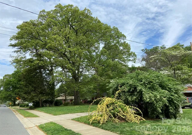 Photo 3 of Single family home for sale at 3218 Driftwood Dr, Charlotte, NC 28205 | MLS# 4341093 | Listing updated on 2026-09-02