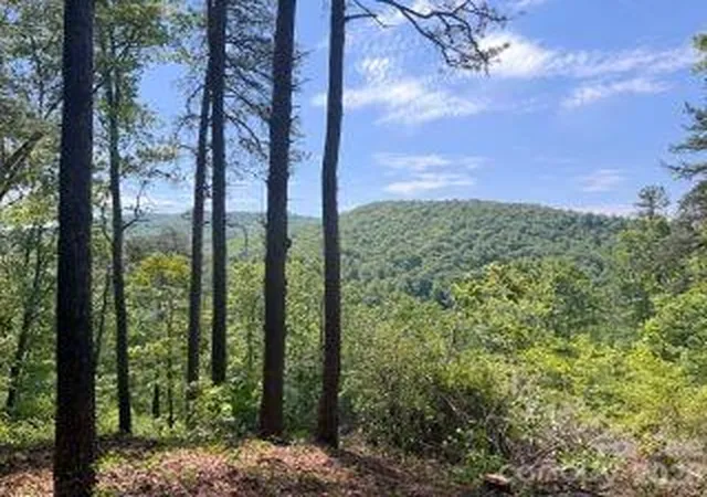 Land for sale at 0 Green River Rd, Zirconia, NC 28790 | MLS# 4341144
