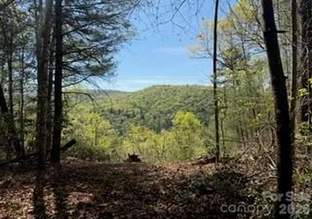 Photo 2 of Land for sale at 0 Green River Rd, Zirconia, NC 28790 | MLS# 4341144 | Listing updated on 2026-09-29