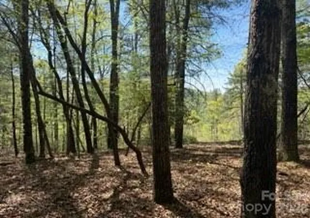 Photo 3 of Land for sale at 0 Green River Rd, Zirconia, NC 28790 | MLS# 4341144 | Listing updated on 2026-09-29