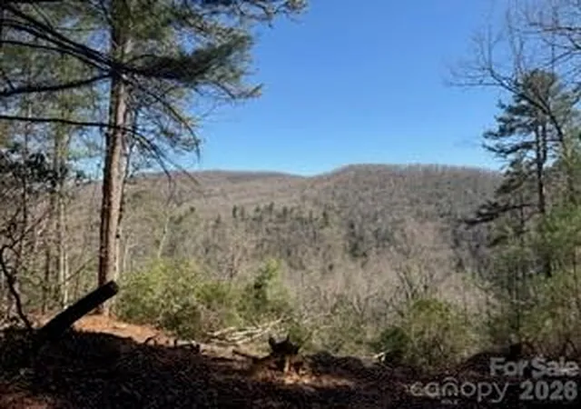 Photo 3 of Land for sale at 0 Green River Rd, Zirconia, NC 28790 | MLS# 4341144 | Listing updated on 2026-09-29