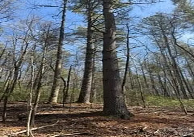 Photo 4 of Land for sale at 0 Green River Rd, Zirconia, NC 28790 | MLS# 4341144 | Listing updated on 2026-09-29
