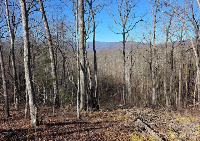 Photo 3 of Land for sale at Lot 2 Warren Ridge Rd, Old Fort, NC 28762 | MLS# 4341214 | Listing updated on 2026-01-30