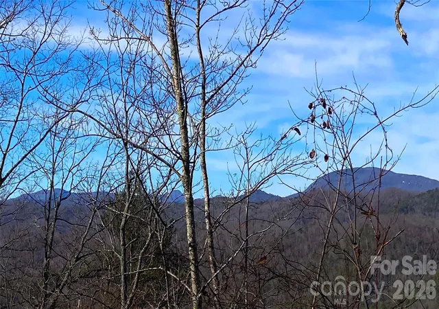 Photo 3 of Land for sale at Tbd Ruffed Grouse Rd #L045, Brevard, NC 28712 | MLS# 4341387 | Listing updated on 2026-01-28