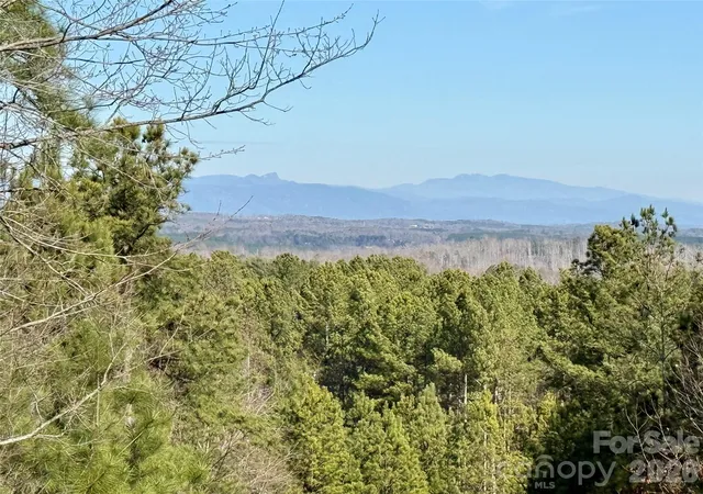 Homes for sale in Nebo, NC | 338 Grandview Peaks Dr #36, Nebo, NC 28761 | MLS# 4341536