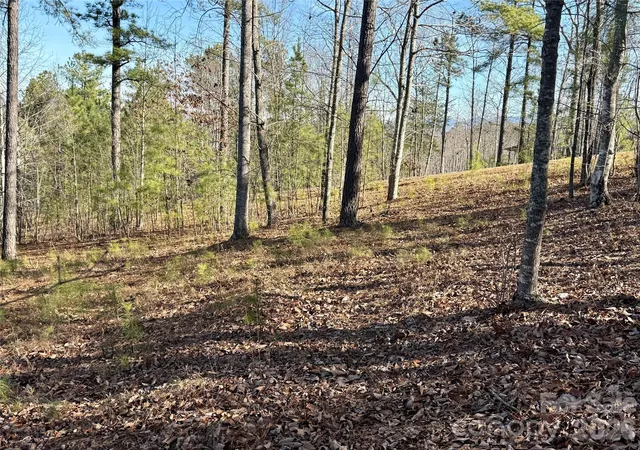 Homes for sale in Nebo, NC | 338 Grandview Peaks Dr #36, Nebo, NC 28761 | MLS# 4341536