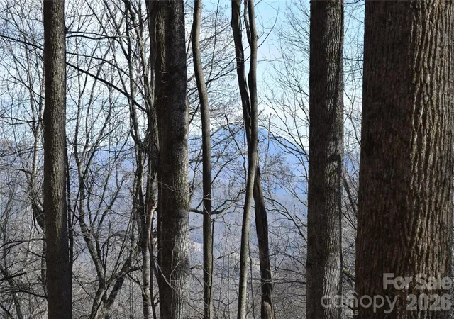 Photo 2 of Land for sale at 417& 418 Multiflora Way #417&418, Waynesville, NC 28785 | MLS# 4341655 | Listing updated on 2026-09-03