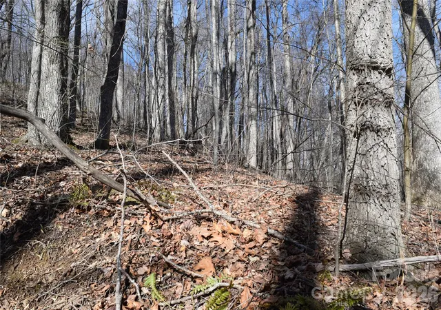Photo 3 of Land for sale at 417& 418 Multiflora Way #417&418, Waynesville, NC 28785 | MLS# 4341655 | Listing updated on 2026-09-03