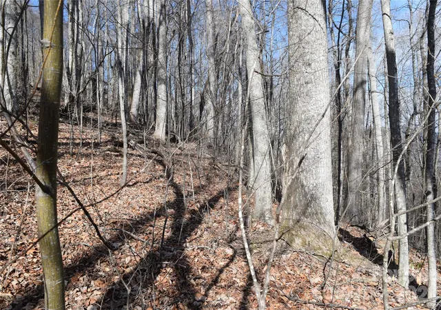 Photo 4 of Land for sale at 417& 418 Multiflora Way #417&418, Waynesville, NC 28785 | MLS# 4341655 | Listing updated on 2026-09-03