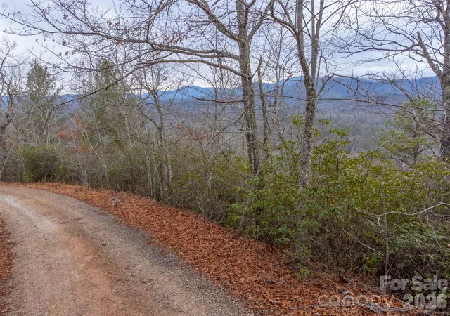 3rd image of 9999 Lower Burningtown Rd, Franklin, NC 28734 | MLS# 4341942