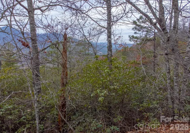 4th image of 9999 Lower Burningtown Rd, Franklin, NC 28734 | MLS# 4341942