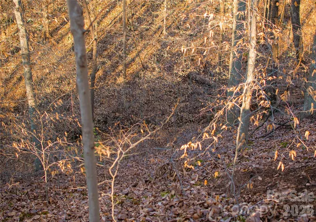 Photo 3 of Land for sale at 0 Windbluff Ct #161, Statesville, NC 28677 | MLS# 4342176 | Listing updated on 2026-08-17