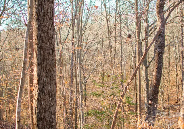 Photo 3 of Land for sale at 0 Windbluff Ct #161, Statesville, NC 28677 | MLS# 4342176 | Listing updated on 2026-08-17