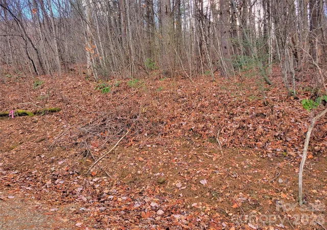 Homes for sale in Waynesville, NC | 125 Lasso Ln #304, Waynesville, NC 28785 | MLS# 4342283