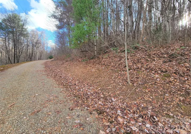 Homes for sale in Waynesville, NC | 125 Lasso Ln #304, Waynesville, NC 28785 | MLS# 4342283