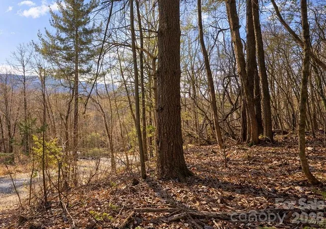 Homes for sale in Waynesville, NC | 125 Lasso Ln #304, Waynesville, NC 28785 | MLS# 4342283
