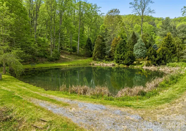Homes for sale in Leicester, NC | 198 Brooks Branch Rd, Leicester, NC 28748 | MLS# 4342516