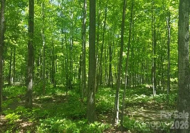 1st image of 0 Faith Rd, Mooresville, NC 28115 | MLS# 4342588
