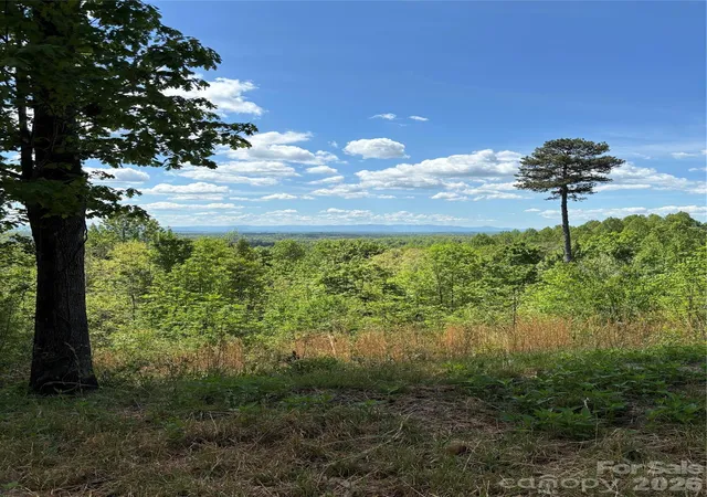 Photo 3 of Land for sale at 1234 Johns Ridge Pkwy #204DE, Lenoir, NC 28645 | MLS# 4342631 | Listing updated on 2026-04-17