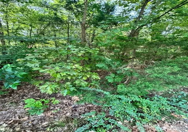 Photo 3 of Land for sale at 8323 Washington Blvd, Charlotte, NC 28262 | MLS# 4342779 | Listing updated on 2026-07-06