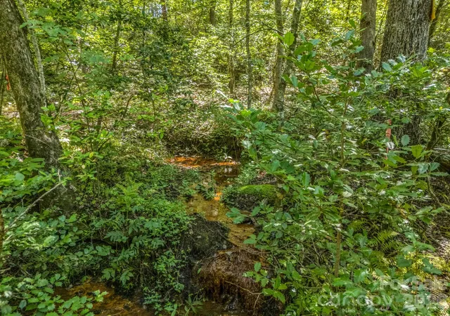 23rd image of 231 Wandering Bear Wy, Lake Lure, NC 28746 | MLS# 4342790