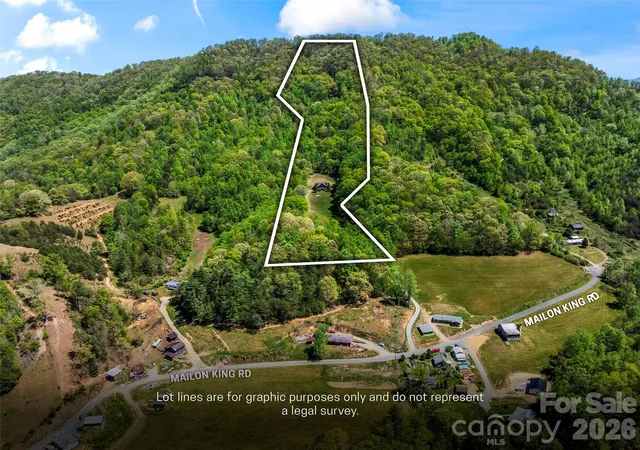 Homes for sale in Leicester, NC | 110 Mailon King Rd, Leicester, NC 28748 | MLS# 4343106