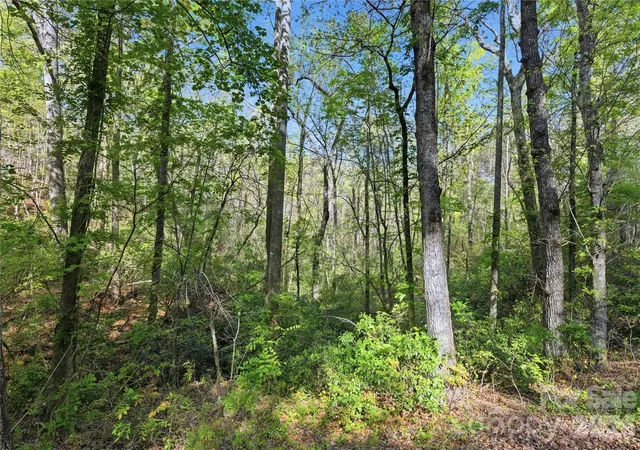 Photo 3 of Land for sale at 0 Wolf Trl #030, Lake Lure, NC 28746 | MLS# 4343108 | Listing updated on 2026-08-11
