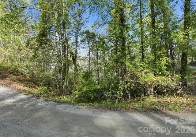 Photo 3 of Land for sale at 0 Wolf Trl #030, Lake Lure, NC 28746 | MLS# 4343108 | Listing updated on 2026-08-11