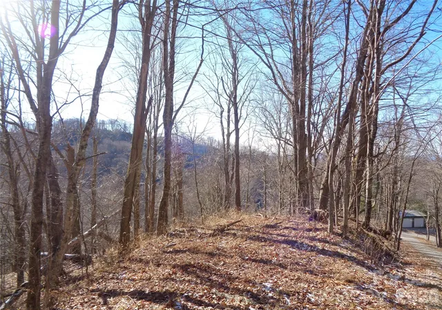 Photo 1 of Land for sale at 000 Listening Cvs #42, Clyde, NC 28721 | MLS# 4343343 | Listing updated on 2026-02-05