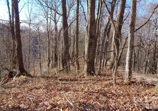 Photo 2 of Land for sale at 000 Listening Cvs #42, Clyde, NC 28721 | MLS# 4343343 | Listing updated on 2026-02-05