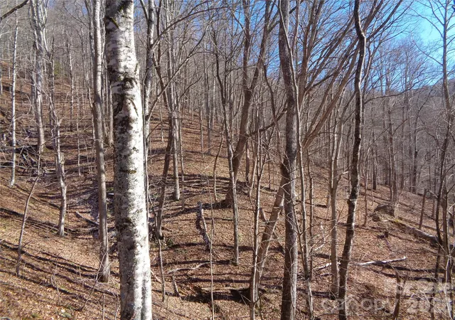 Photo 3 of Land for sale at 000 Listening Cvs #42, Clyde, NC 28721 | MLS# 4343343 | Listing updated on 2026-02-05