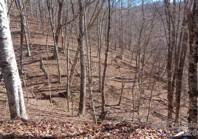 Photo 4 of Land for sale at 000 Listening Cvs #42, Clyde, NC 28721 | MLS# 4343343 | Listing updated on 2026-02-05