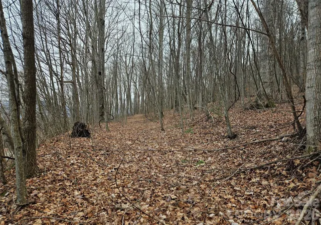 Photo 1 of Land for sale at 000 Slippery Rock Ln, Waynesville, NC 28785 | MLS# 4343372 | Listing updated on 2026-09-24