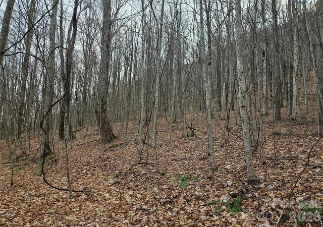 Photo 2 of Land for sale at 000 Slippery Rock Ln, Waynesville, NC 28785 | MLS# 4343372 | Listing updated on 2026-09-24
