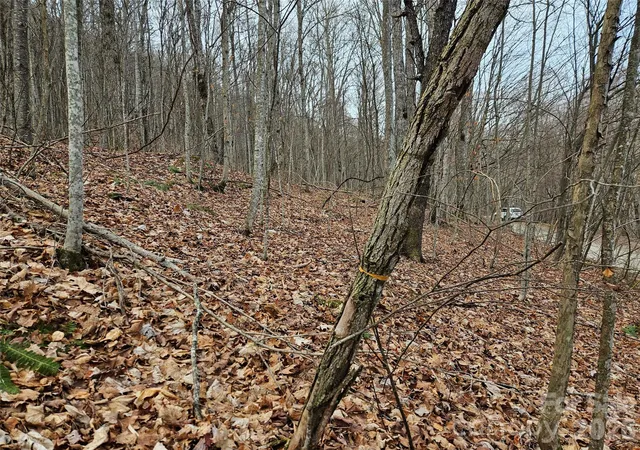 Photo 3 of Land for sale at 000 Slippery Rock Ln, Waynesville, NC 28785 | MLS# 4343372 | Listing updated on 2026-09-24