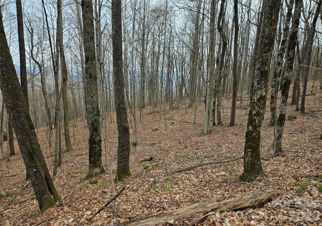 Photo 3 of Land for sale at 000 Slippery Rock Ln, Waynesville, NC 28785 | MLS# 4343372 | Listing updated on 2026-09-24