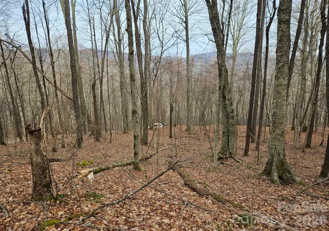 Photo 4 of Land for sale at 000 Slippery Rock Ln, Waynesville, NC 28785 | MLS# 4343372 | Listing updated on 2026-09-24
