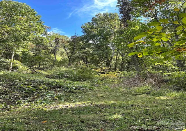 Photo 4 of Land for sale at 94 Locust Grv Ln, Weaverville, NC 28787 | MLS# 4343636 | Listing updated on 2026-09-21