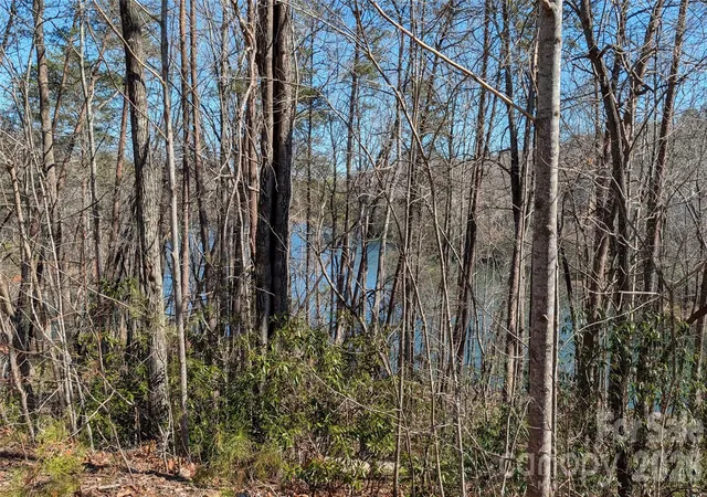 3rd image of 0 Lakewood Dr, Lake Lure, NC 28746 | MLS# 4343737