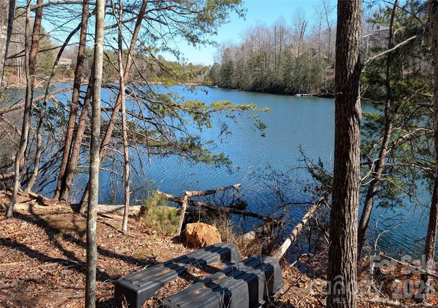 4th image of 0 Lakewood Dr, Lake Lure, NC 28746 | MLS# 4343737