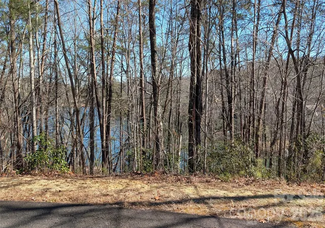 5th image of 0 Lakewood Dr, Lake Lure, NC 28746 | MLS# 4343737