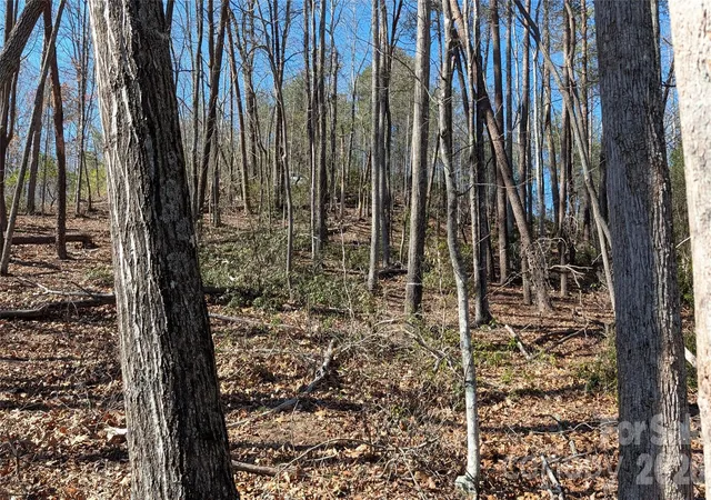 10th image of 0 Lakewood Dr, Lake Lure, NC 28746 | MLS# 4343737