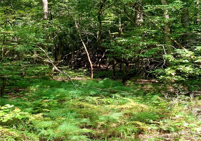 Photo 3 of Land for sale at 6 Double Crk Rd #6, Brevard, NC 28712 | MLS# 4343835 | Listing updated on 2026-08-19