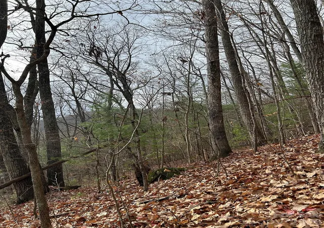 Photo 3 of Land for sale at 99999 Cowan Cvs Rd, Asheville, NC 28806 | MLS# 4343879 | Listing updated on 2026-02-08