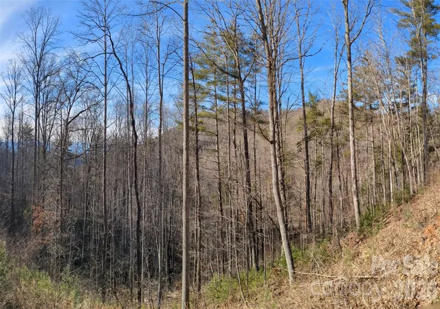 4th image of 27 Bent Branch Ln #10, Asheville, NC 28804 | MLS# 4343881