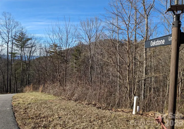 5th image of 27 Bent Branch Ln #10, Asheville, NC 28804 | MLS# 4343881
