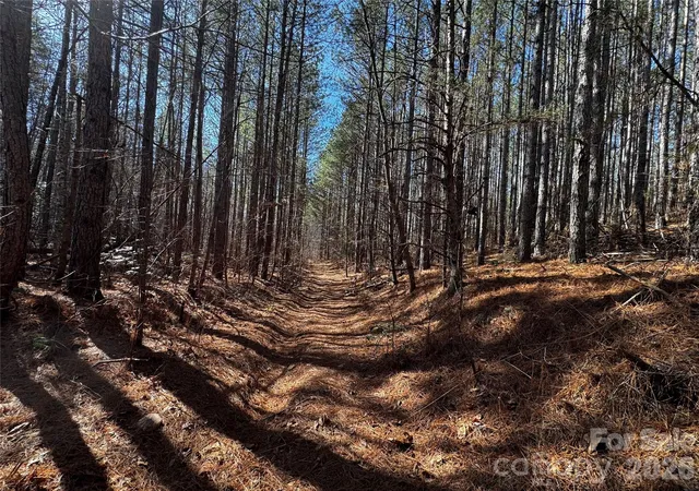 Photo 2 of Land for sale at 0 Painters Gap Rd, Union Mills, NC 28167 | MLS# 4344016 | Listing updated on 2026-06-16