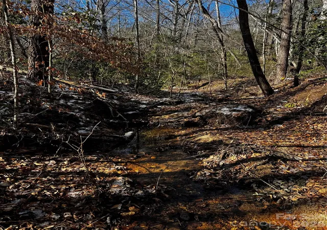 Photo 3 of Land for sale at 0 Painters Gap Rd, Union Mills, NC 28167 | MLS# 4344016 | Listing updated on 2026-06-16