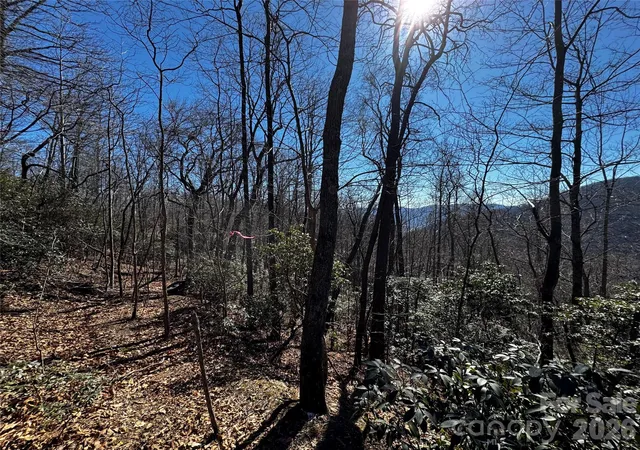 Homes for sale in Black Mountain, NC | Tbd Acacia Ct #936, Black Mountain, NC 28711 | MLS# 4344207